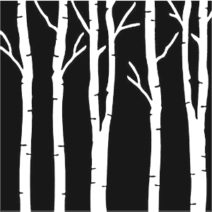 Birch Trees