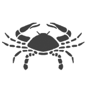 Crab