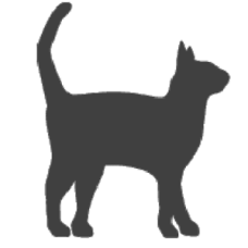 Cat (standing)