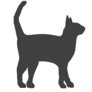 Cat (standing)