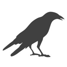 Raven / Crow Bird