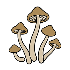 Mushrooms Tall